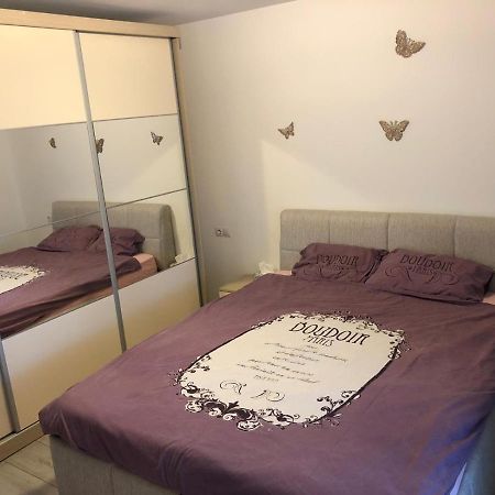 Apartament Modern Targoviste In Regim Hotelier Zewnętrze zdjęcie
