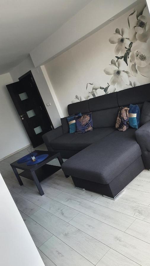 Apartament Modern Targoviste In Regim Hotelier Zewnętrze zdjęcie